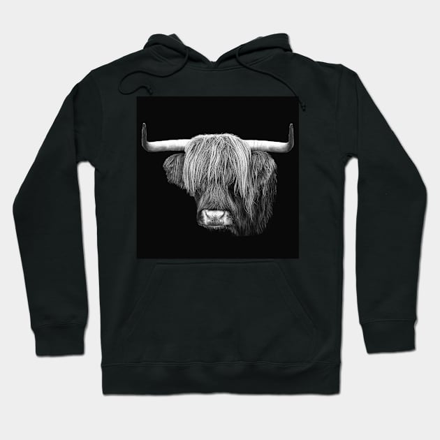 The Highland Cow Hoodie by Jane Braat